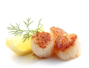 Sea scallops for wholesale seafood buyers