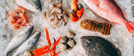 Commercial seafood selection